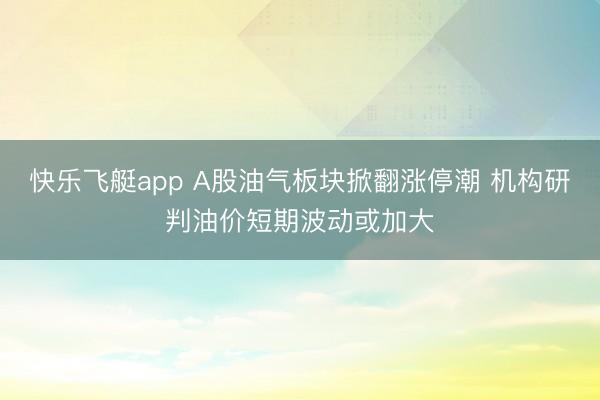 快乐飞艇app A股油气板块掀翻涨停潮 机构研判油价短期波动或加大